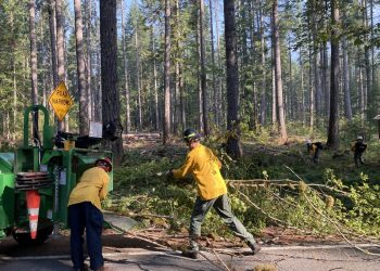 Santa Monica Fire Department Official Allegedly at Center of Immigration Raid Scandal