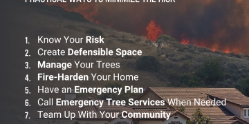 How A Plus Tree Helps Protect Your Home from Wildfire