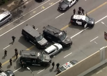 Nude Woman Detained After Four-Hour Police Standoff Near Brentwood