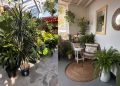 Choose the Right Tropical Plants Your Indoor Space